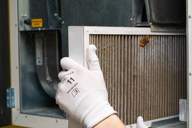 Best Air Vent Cleaning Services  in Shenandoah Junction, WV