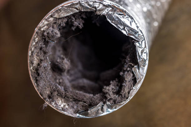 Best Affordable Duct Cleaning Services  in Shenandoah Junction, WV
